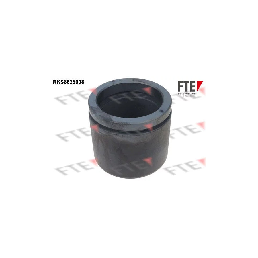 FTE Rks8625008 Piston, Brake Caliper