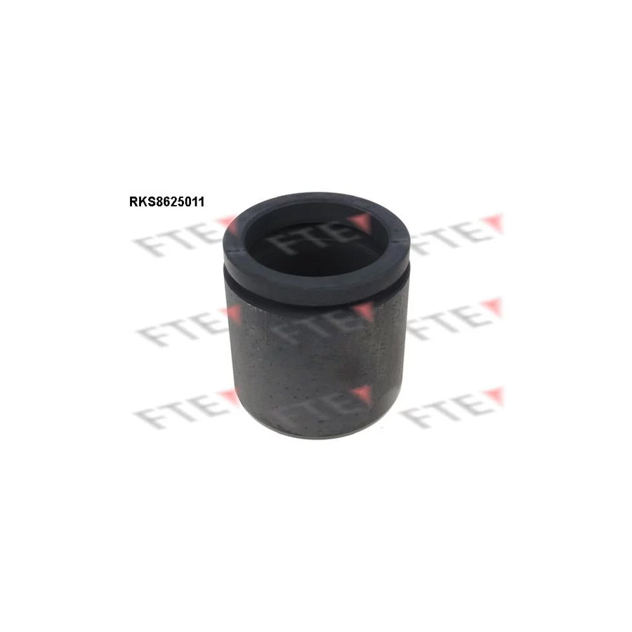 FTE Rks8625011 Piston, Brake Caliper