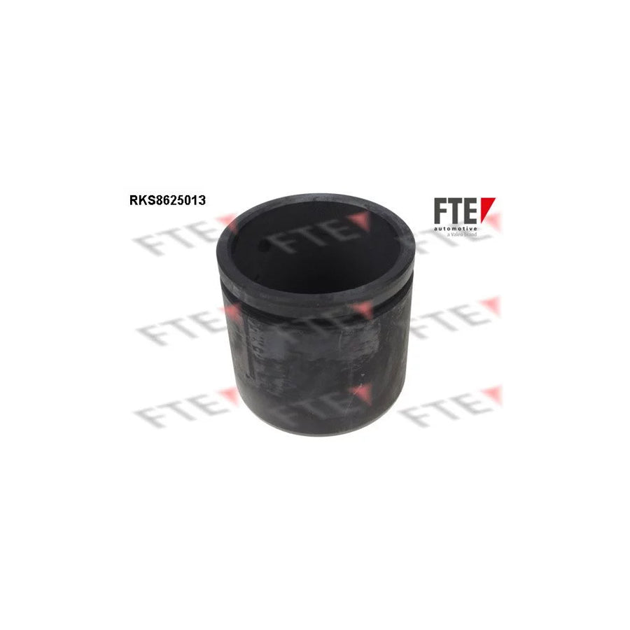 FTE Rks8625013 Piston, Brake Caliper