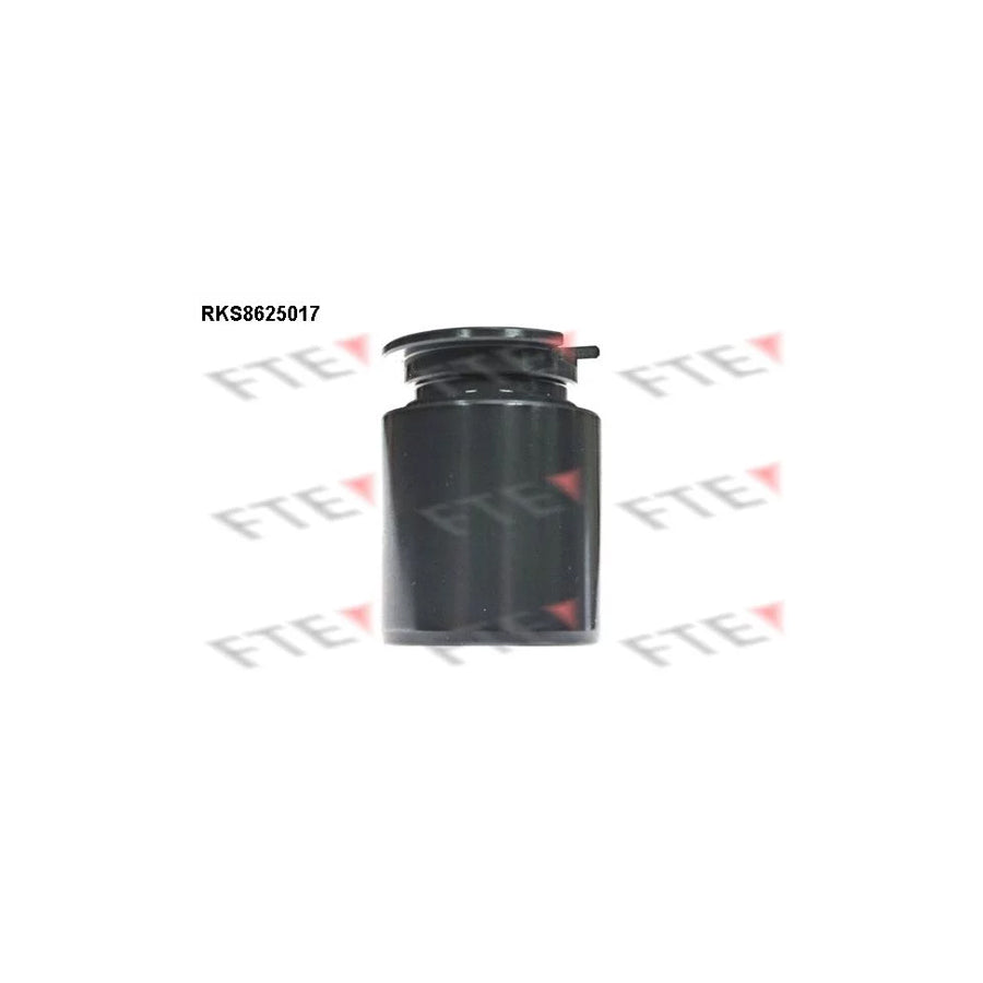 FTE Rks8625017 Piston, Brake Caliper