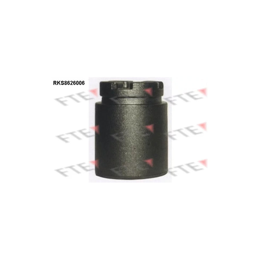 FTE Rks8626006 Piston, Brake Caliper