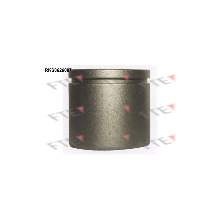 FTE Rks8626007 Piston, Brake Caliper