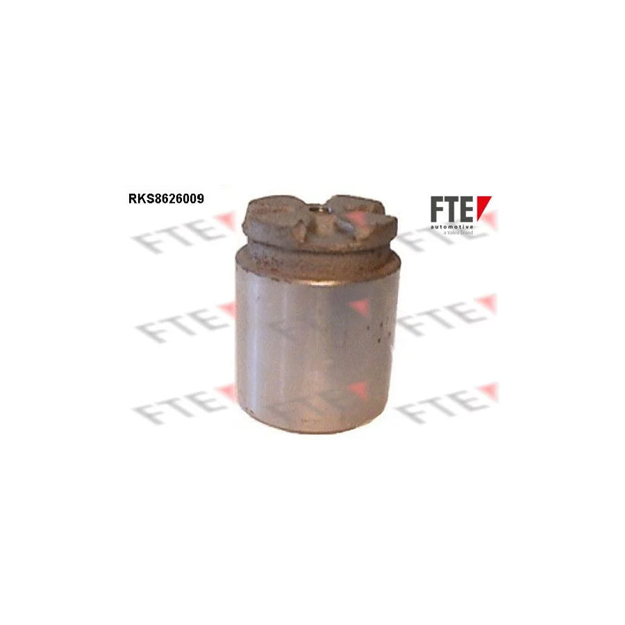 FTE Rks8626009 Piston, Brake Caliper