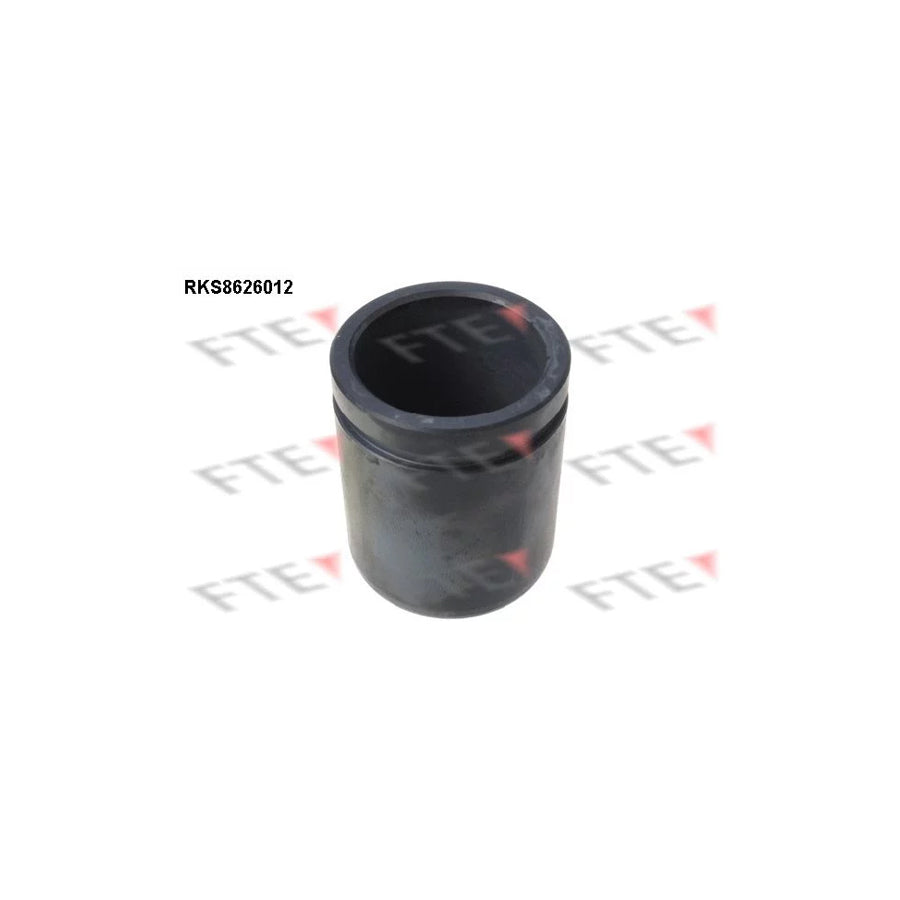 FTE Rks8626012 Piston, Brake Caliper