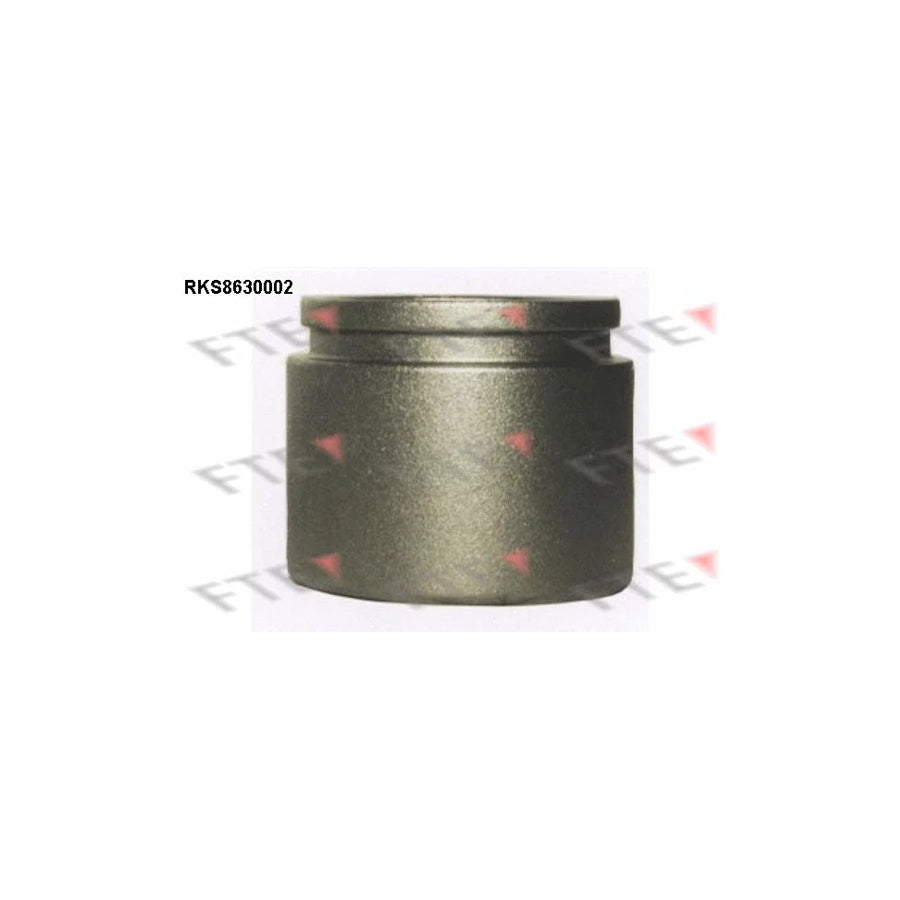 FTE Rks8630002 Piston, Brake Caliper