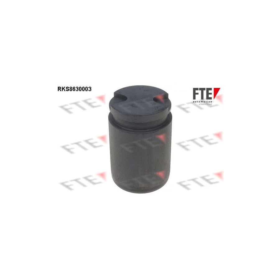 FTE Rks8630003 Piston, Brake Caliper