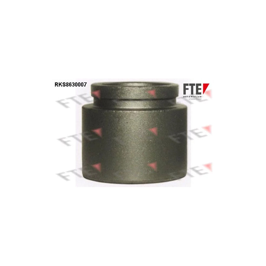 FTE Rks8630007 Piston, Brake Caliper