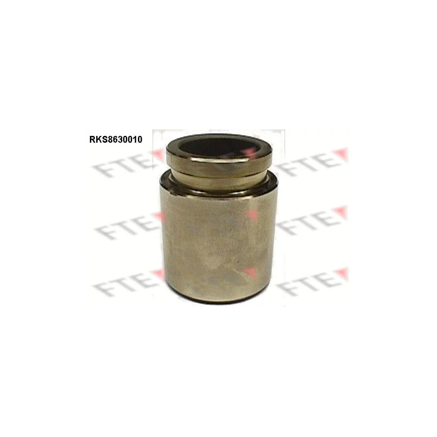 FTE Rks8630010 Piston, Brake Caliper