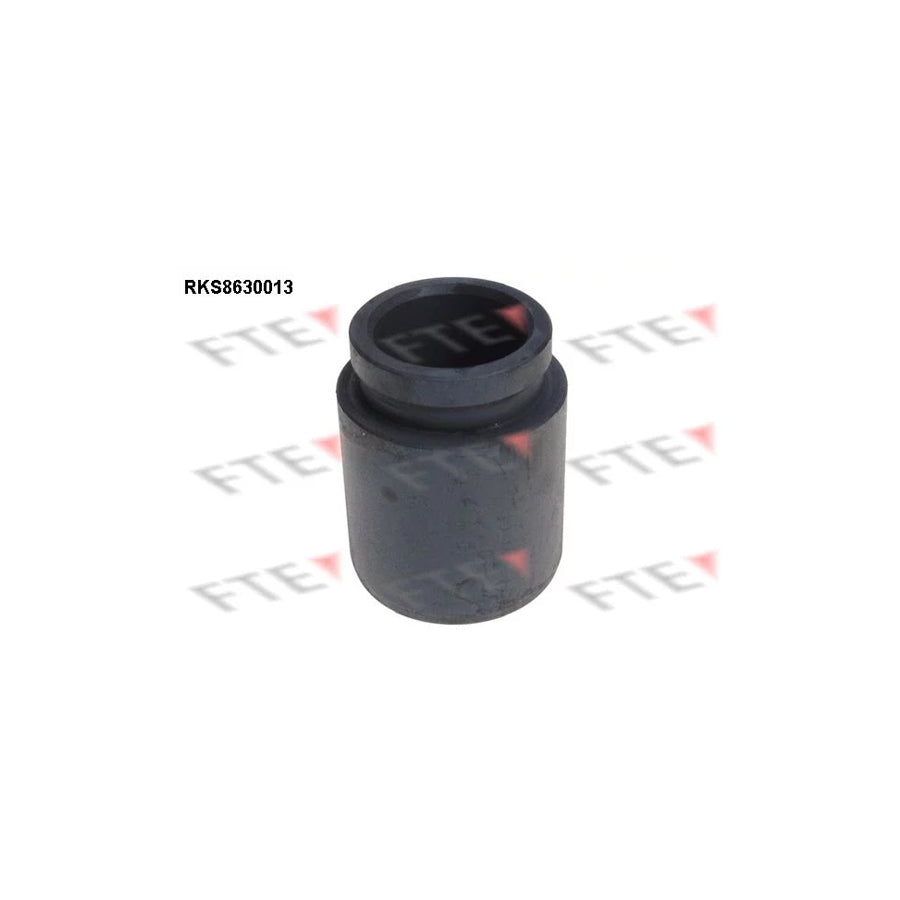 FTE Rks8630013 Piston, Brake Caliper