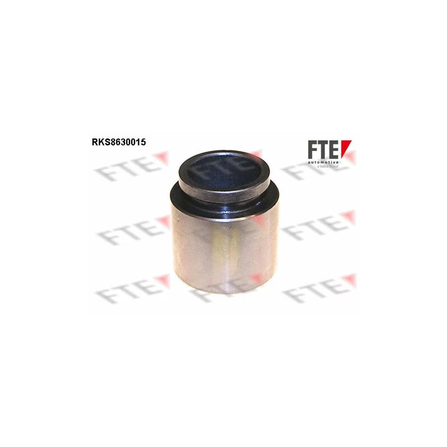 FTE Rks8630015 Piston, Brake Caliper