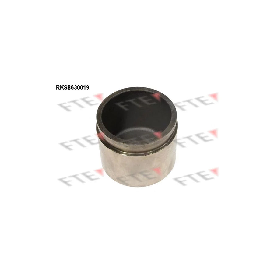 FTE Rks8630019 Piston, Brake Caliper