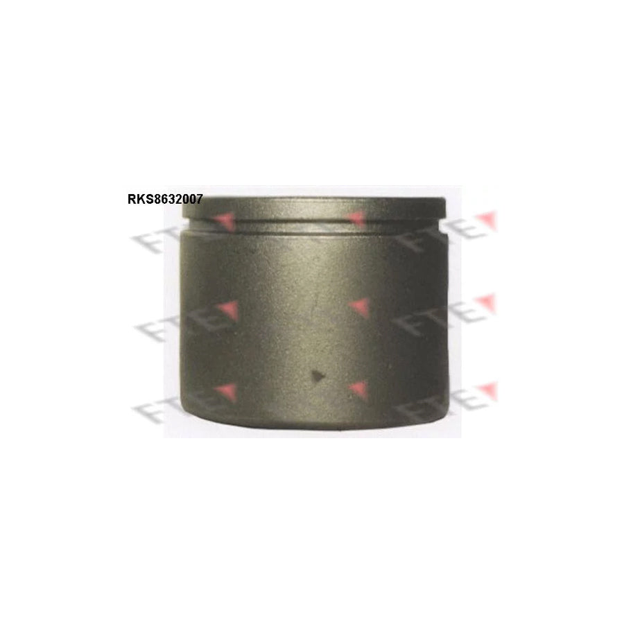 FTE Rks8632007 Piston, Brake Caliper