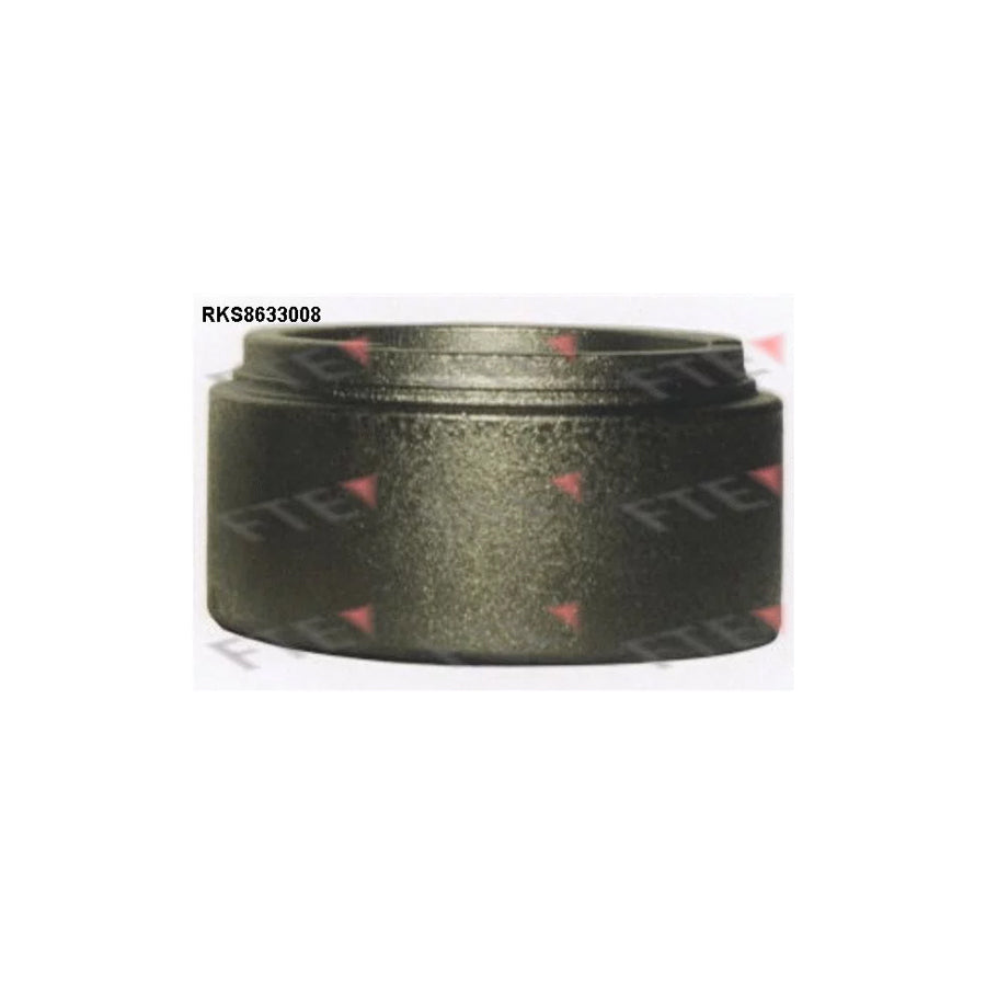 FTE Rks8633008 Piston, Brake Caliper
