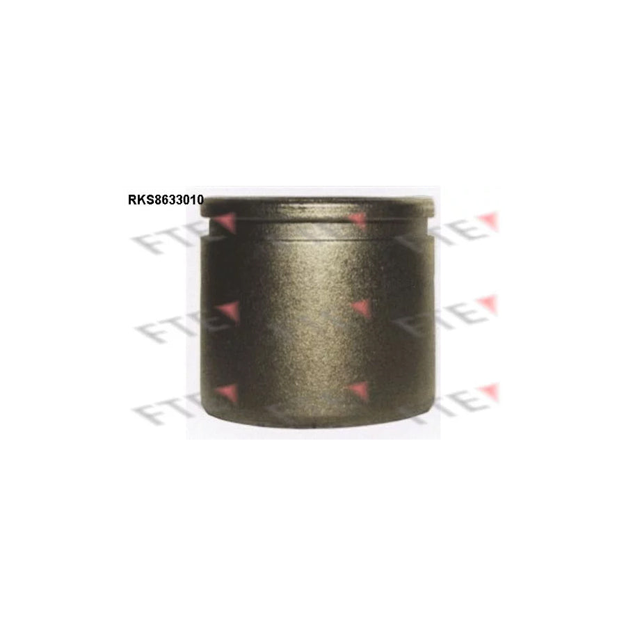 FTE Rks8633010 Piston, Brake Caliper Suitable for Mercedes-Benz 100