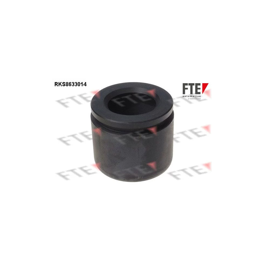 FTE Rks8633014 Piston, Brake Caliper