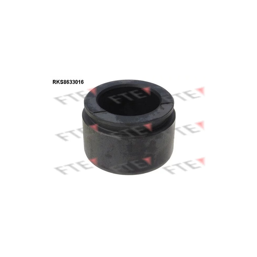 FTE Rks8633016 Piston, Brake Caliper