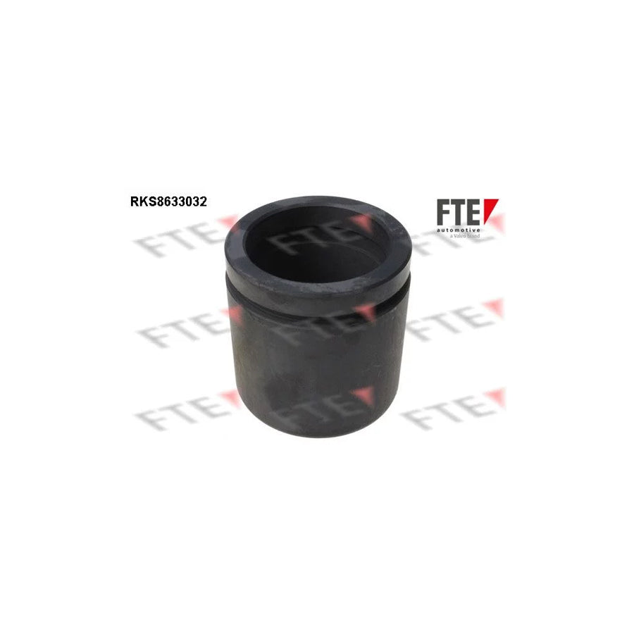 FTE Rks8633032 Piston, Brake Caliper