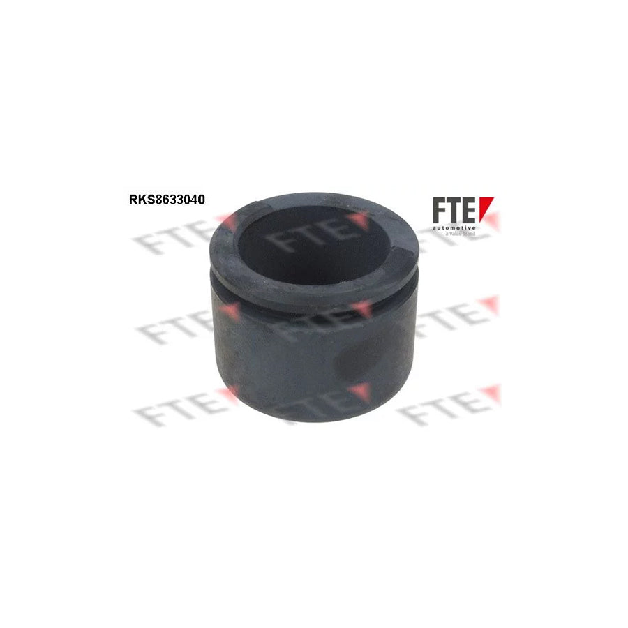 FTE Rks8633040 Piston, Brake Caliper