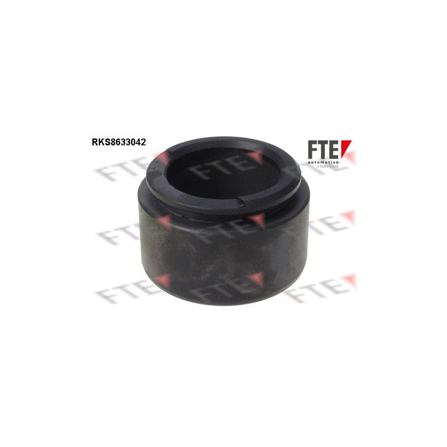 FTE Rks8633042 Piston, Brake Caliper