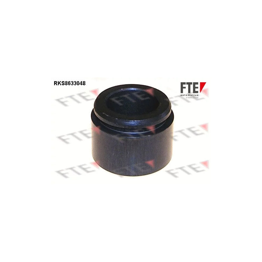 FTE Rks8633048 Piston, Brake Caliper
