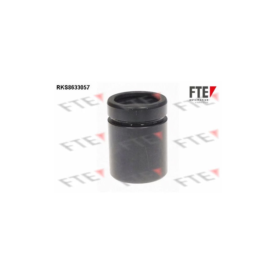 FTE Rks8633057 Piston, Brake Caliper