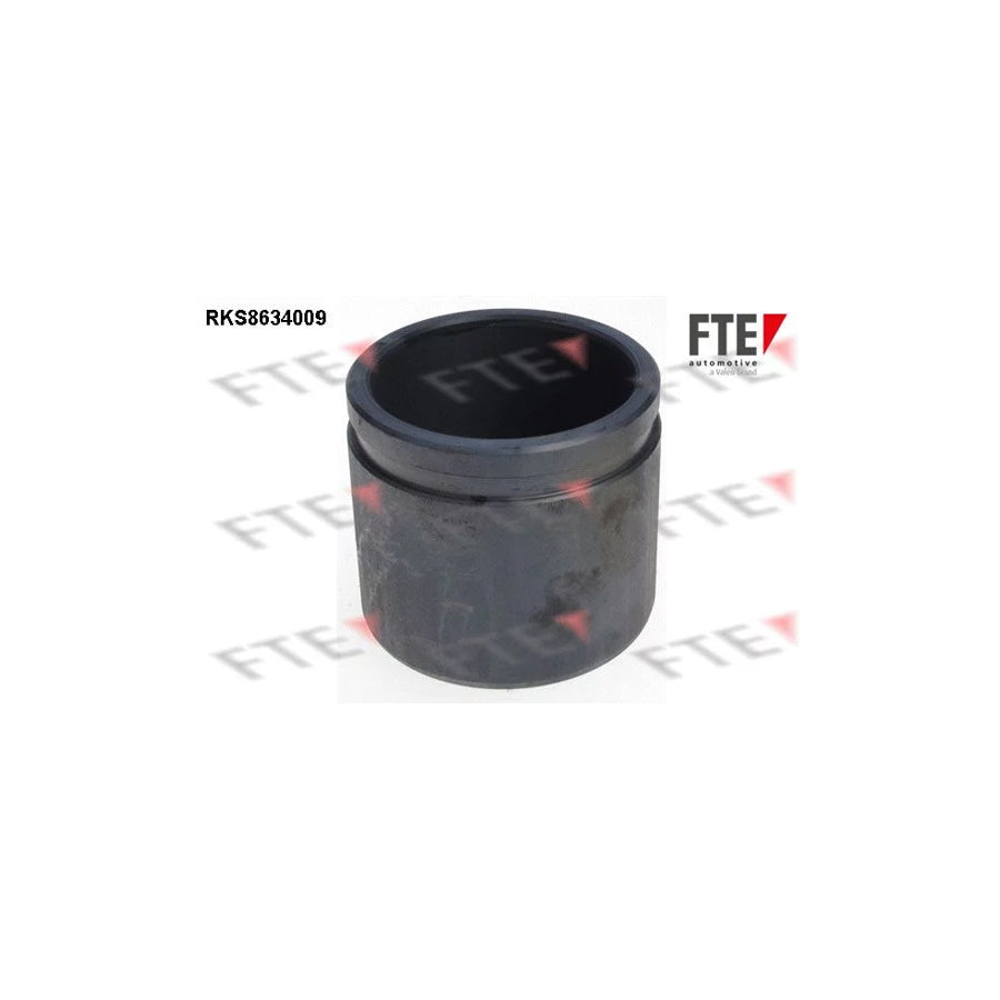 FTE Rks8634009 Piston, Brake Caliper