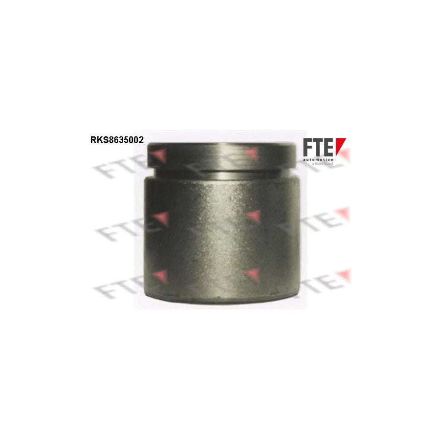 FTE Rks8635002 Piston, Brake Caliper