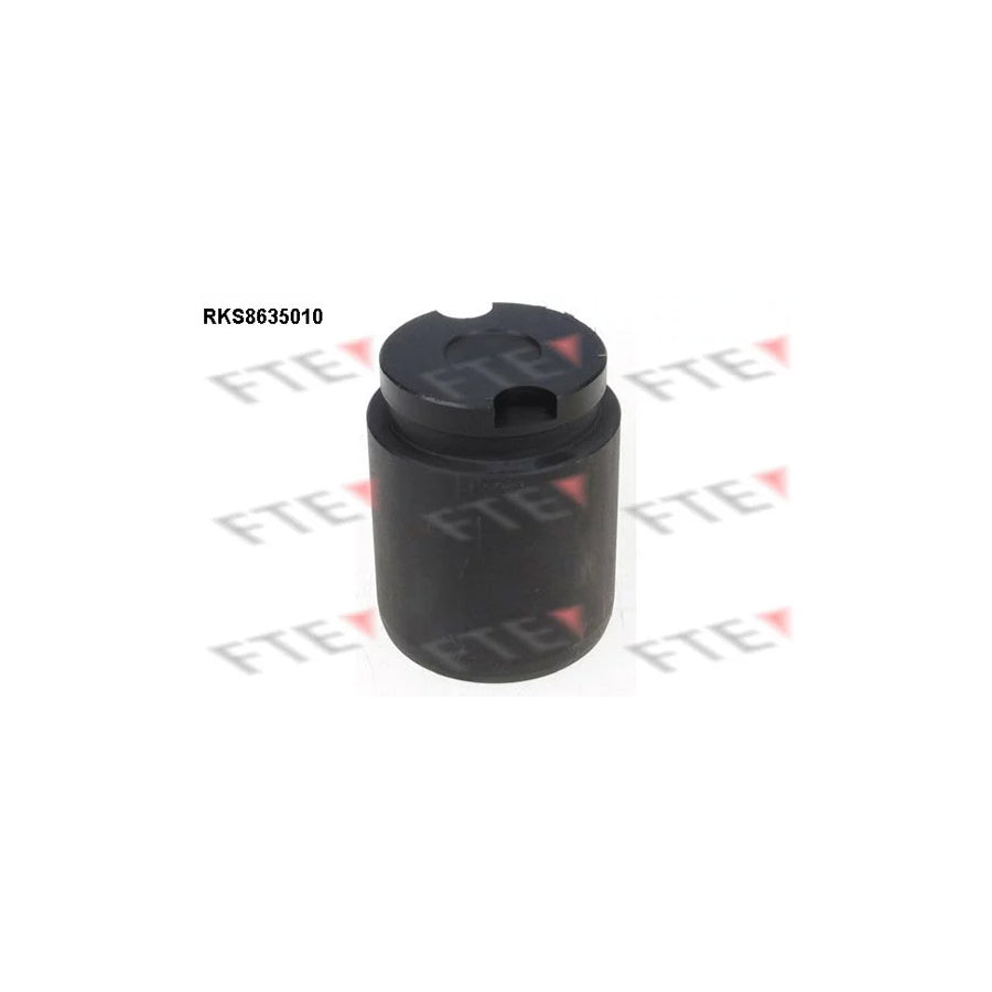 FTE Rks8635010 Piston, Brake Caliper for KIA Picanto I (Sa)