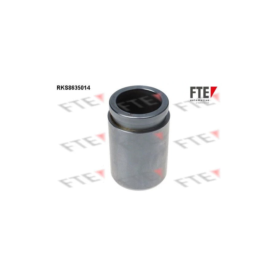 FTE Rks8635014 Piston, Brake Caliper