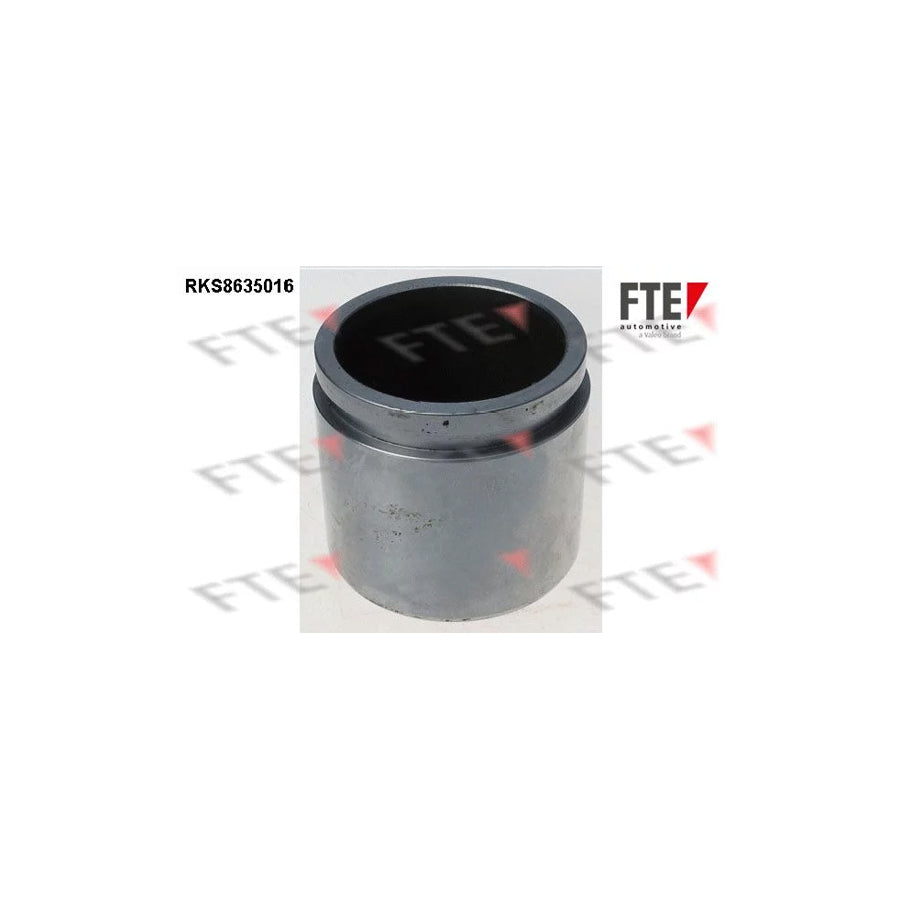 FTE Rks8635016 Piston, Brake Caliper