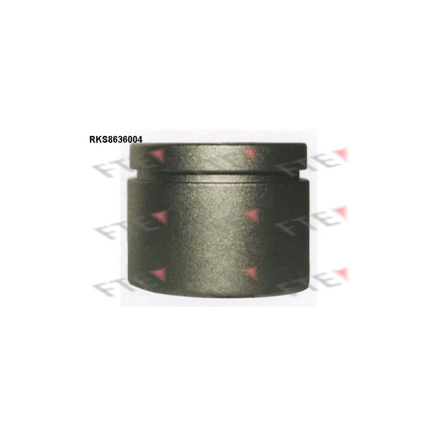 FTE Rks8636004 Piston, Brake Caliper