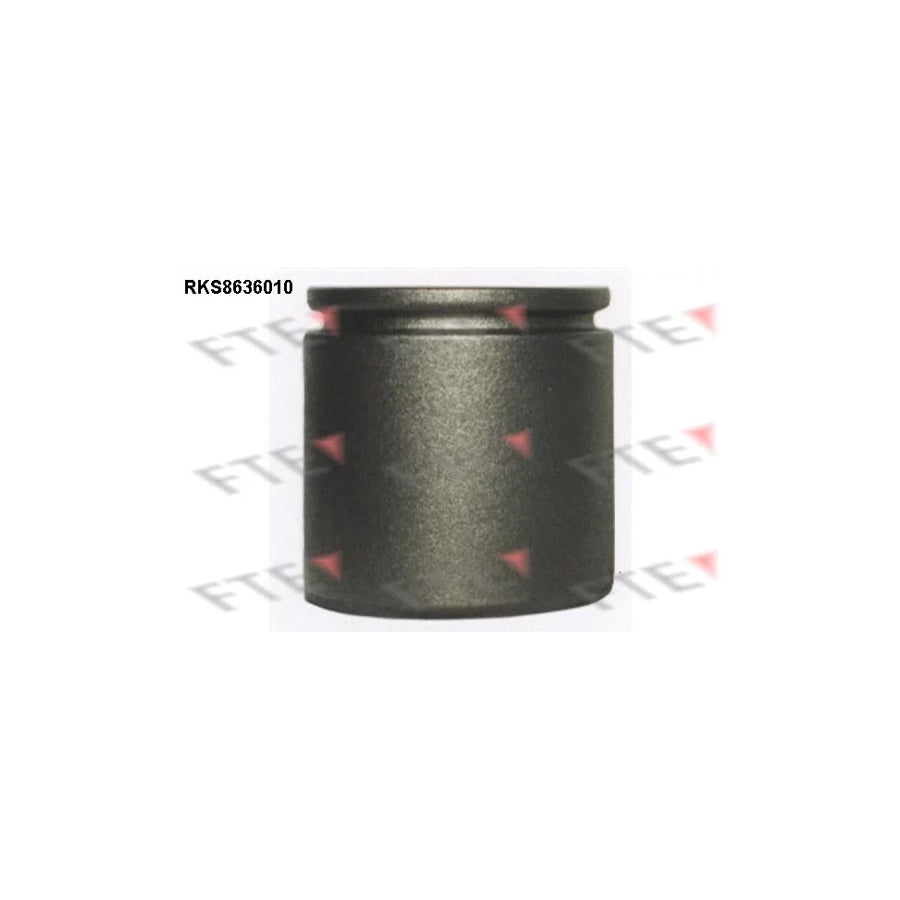 FTE Rks8636010 Piston, Brake Caliper
