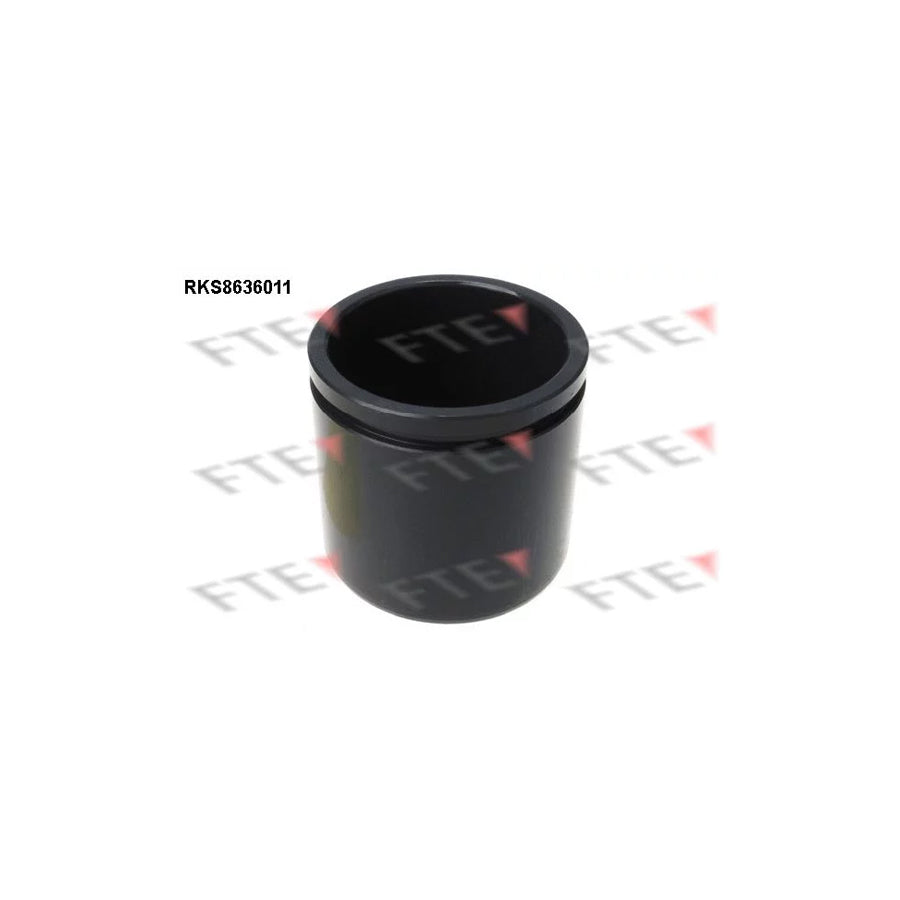 FTE Rks8636011 Piston, Brake Caliper