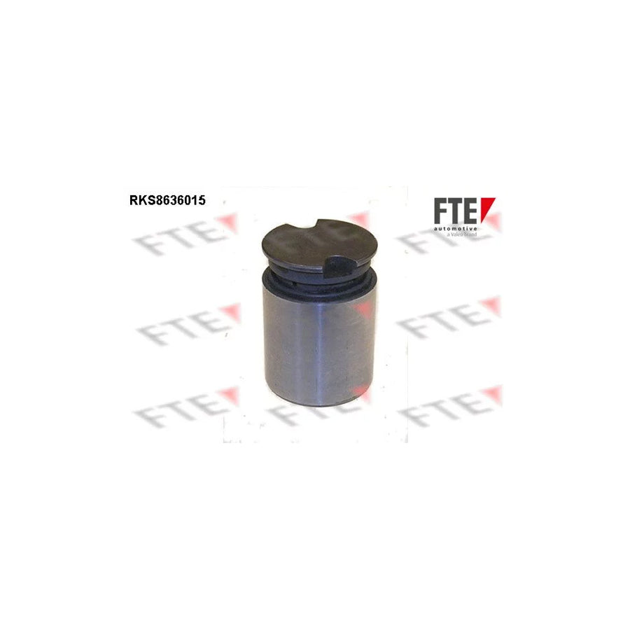 FTE Rks8636015 Piston, Brake Caliper