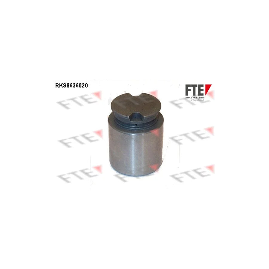 FTE Rks8636020 Piston, Brake Caliper