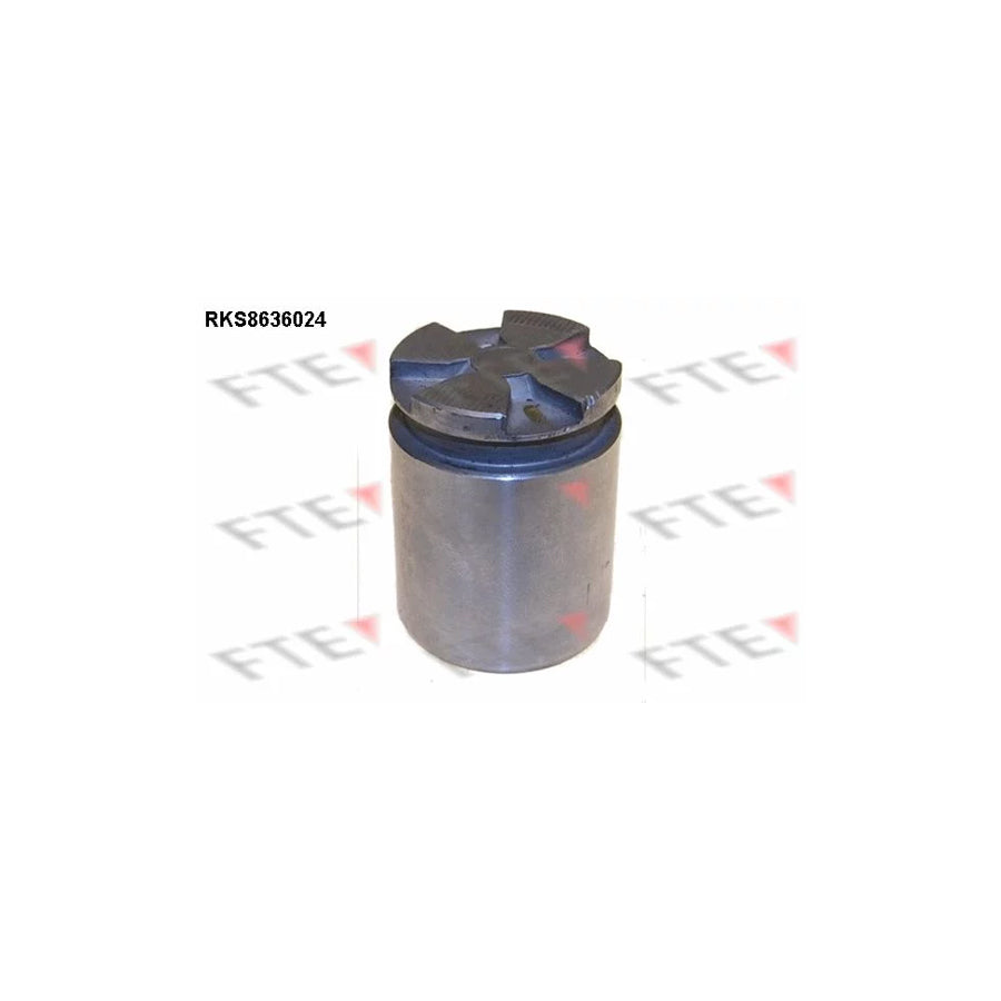 FTE Rks8636024 Piston, Brake Caliper