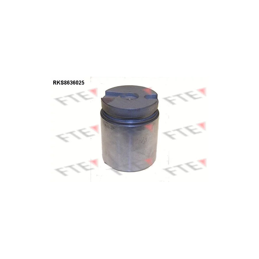 FTE Rks8636025 Piston, Brake Caliper