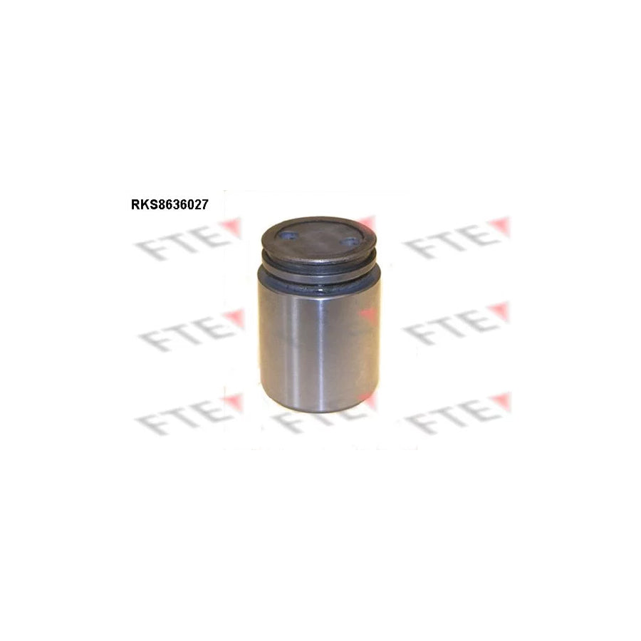 FTE Rks8636027 Piston, Brake Caliper