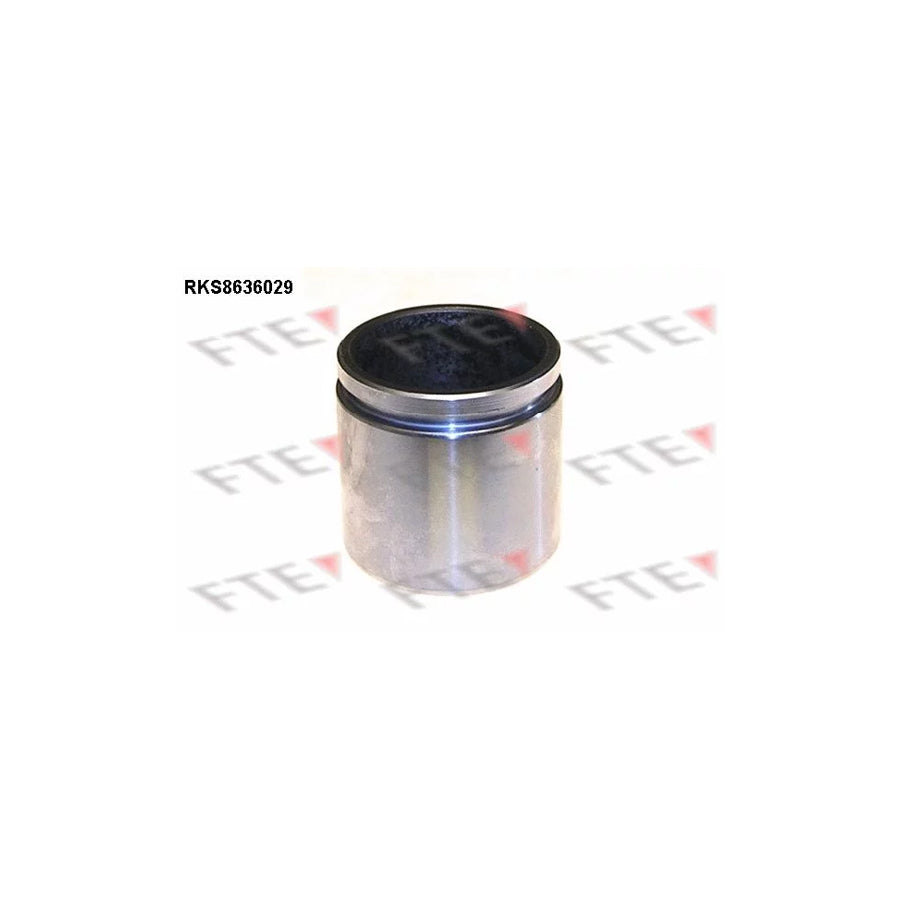 FTE Rks8636029 Piston, Brake Caliper