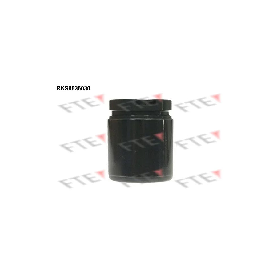 FTE Rks8636030 Piston, Brake Caliper
