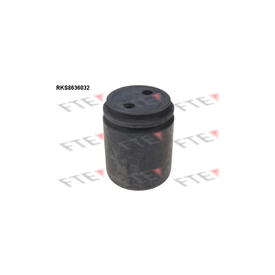 FTE Rks8636032 Piston, Brake Caliper