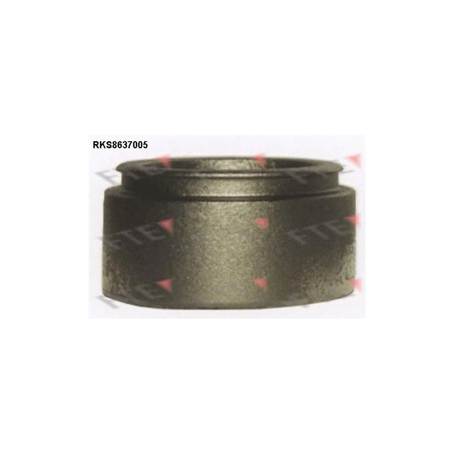 FTE Rks8637005 Piston, Brake Caliper