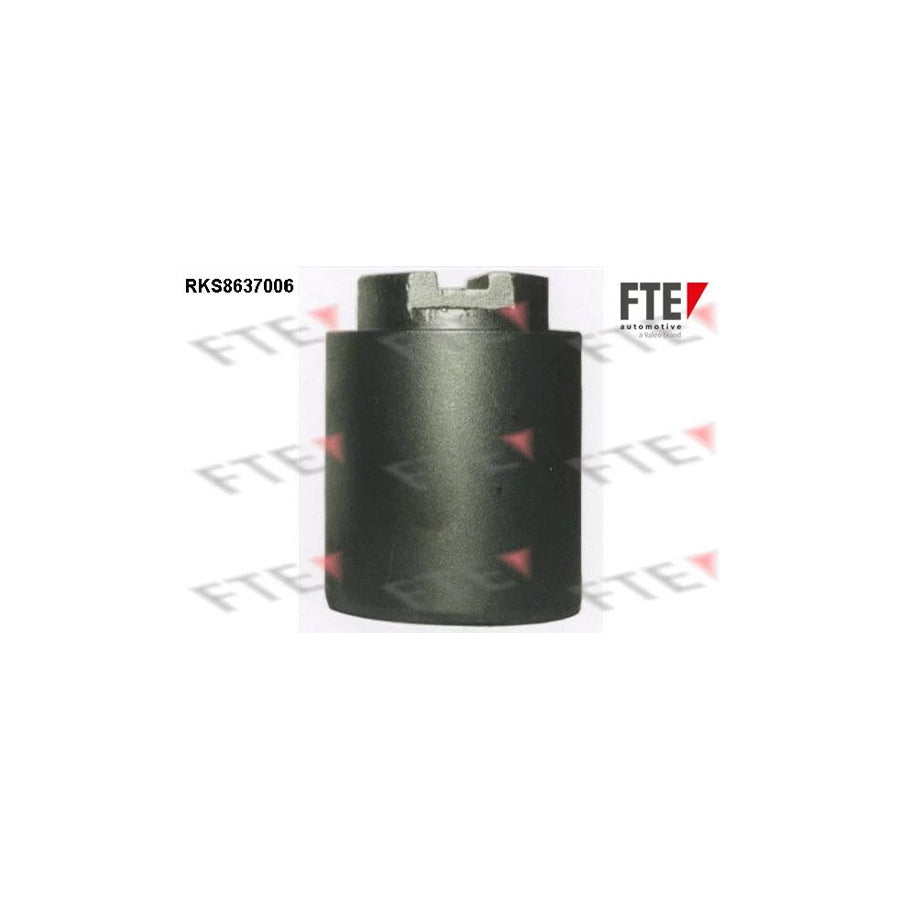 FTE Rks8637006 Piston, Brake Caliper