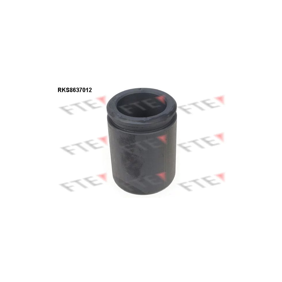 FTE Rks8637012 Piston, Brake Caliper