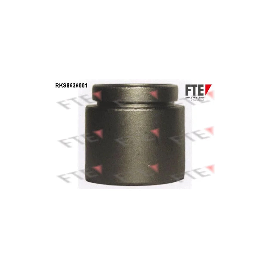 FTE Rks8639001 Piston, Brake Caliper
