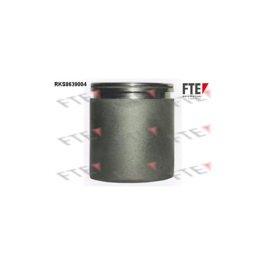 FTE Rks8639004 Piston, Brake Caliper