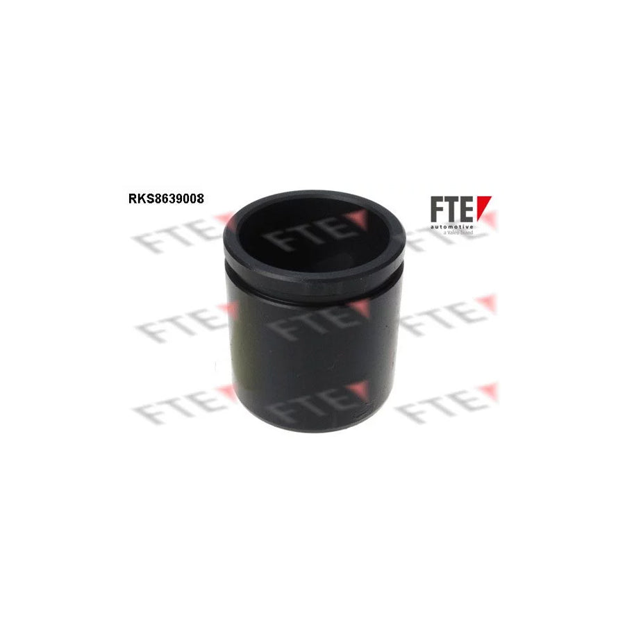 FTE Rks8639008 Piston, Brake Caliper