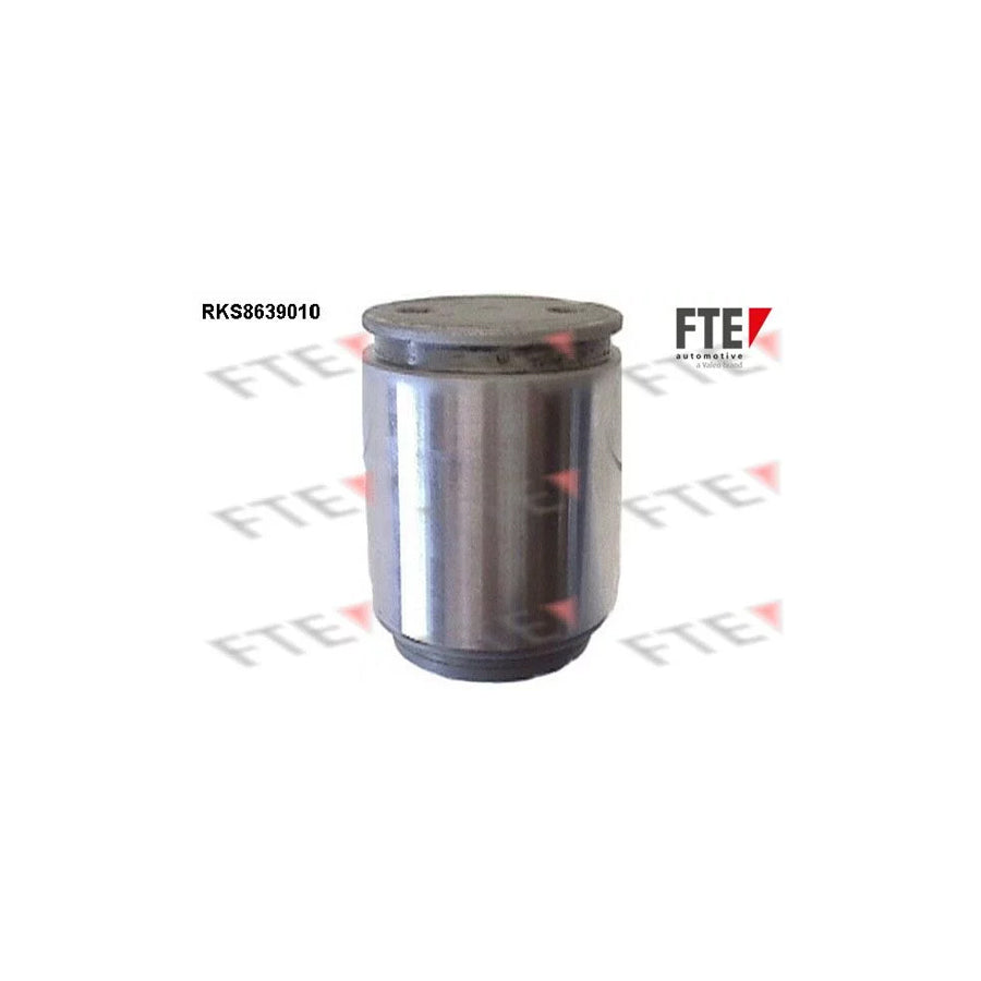 FTE Rks8639010 Piston, Brake Caliper