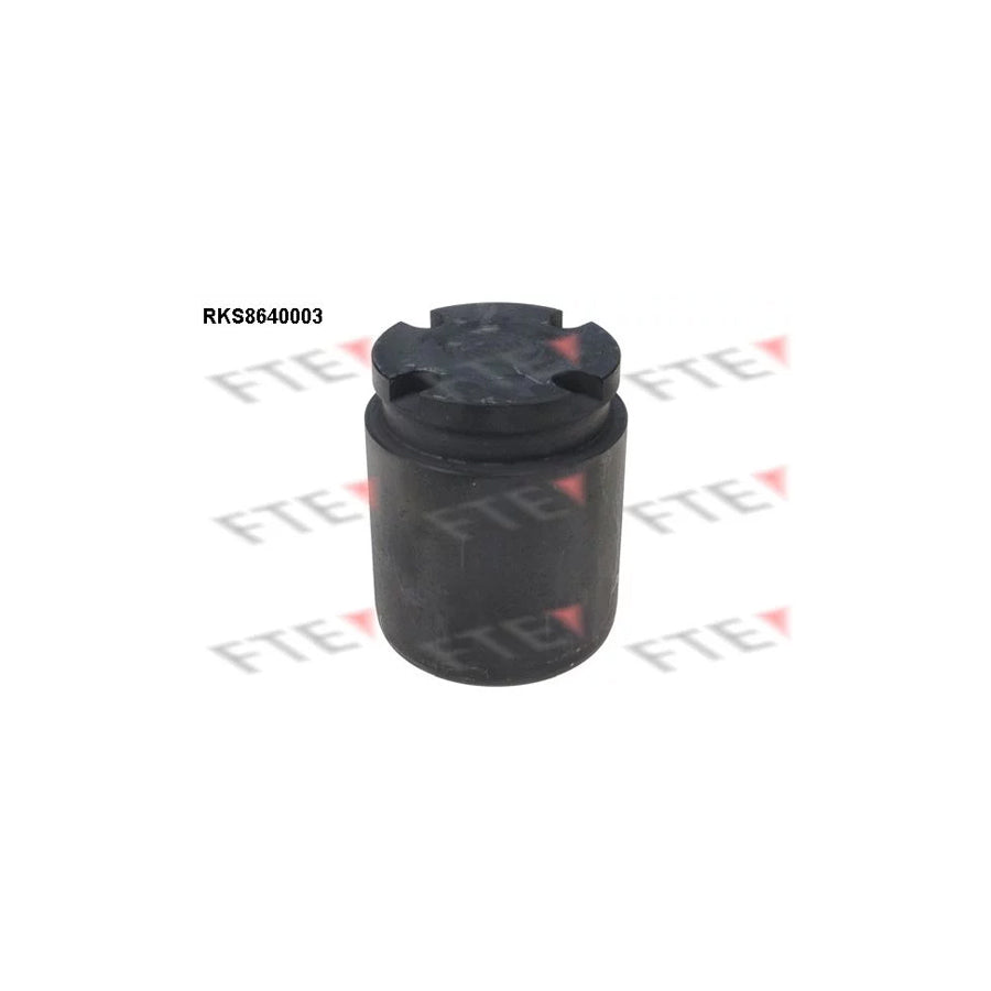 FTE Rks8640003 Piston, Brake Caliper