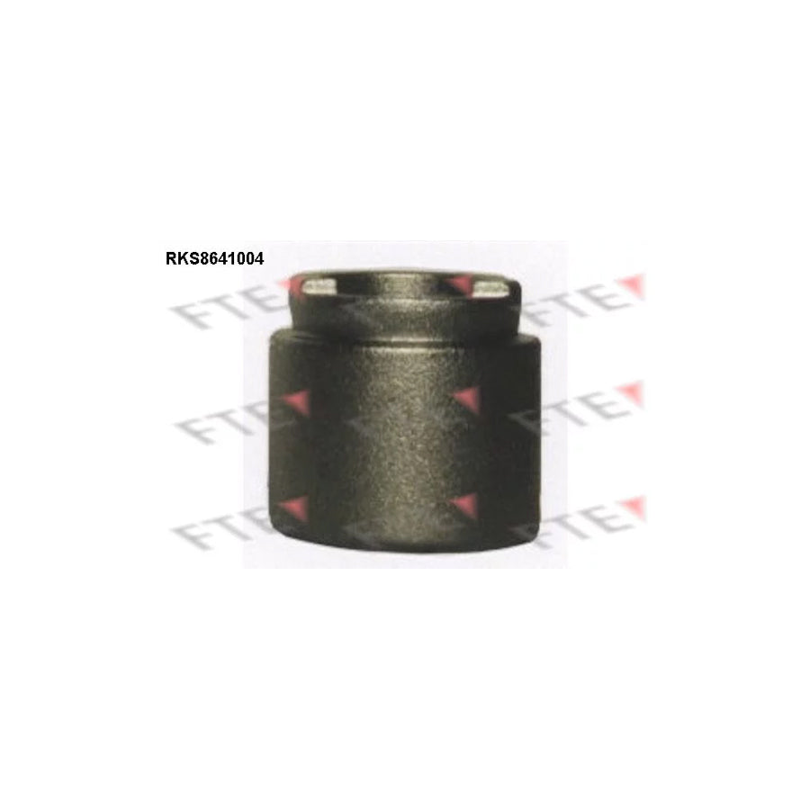 FTE Rks8641004 Piston, Brake Caliper